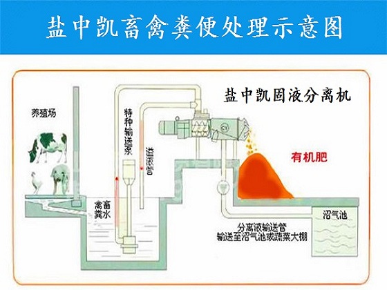 雞糞草莓黄视频免费下载機
