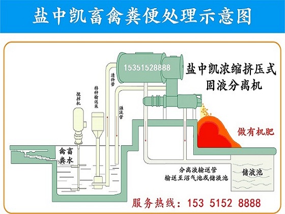 豬糞濃縮擠壓式草莓黄视频免费下载機